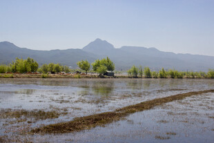 田园水乡 远山近树风光美