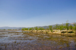 河畔春光 清新自然景致