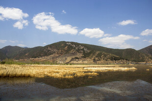 山水相依的宁静自然风光