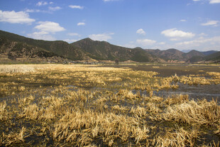 秋日原野湿地风光