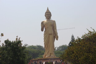 巨大佛像矗立绿树环绕间