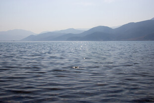 宁静湖面与远处山峦