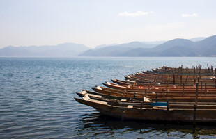 水上排列整齐的木质船只