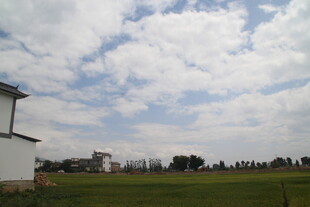 乡村绿野上的蓝天白云