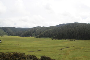 广袤草原与远山风景