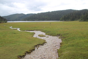 山间蜿蜒小溪与广袤草地