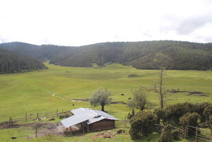 乡村绿野中的小屋