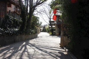 宁静小巷 光影斑驳的景致