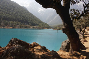 湖畔美景 青山碧水与孤树