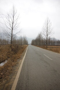 空旷道路 冬日萧瑟景象