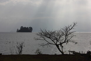 海上孤景 枯树与远船