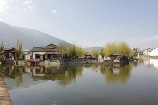 水乡湖畔风光