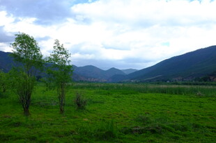 绿野青山间的自然景致
