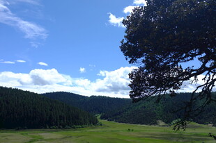 山间绿野蓝天美景
