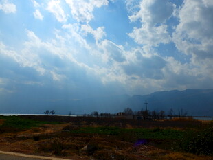 蓝天白云下的开阔原野