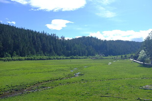 广袤绿野与远处山林风光