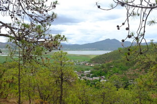 山林间的开阔景致