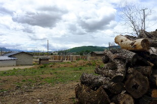 乡村田野边的木材堆