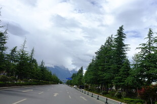 林间公路 静谧自然之景