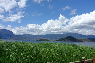 湖畔绿野蓝天美景