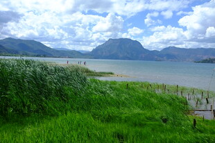 湖畔绿野与远山美景