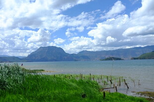 湖畔绿野与远处山峦美景