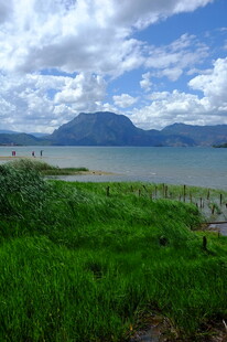 湖畔青山绿草风景如画