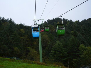 山间缆车穿梭于葱郁树林