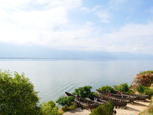 湖畔美景 绿植环绕的宁静处