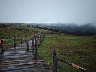 山间木栈道 雾中美景