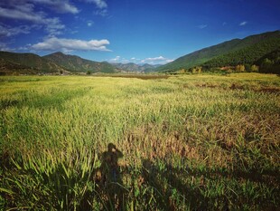 草原风光 静谧自然之景