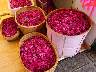 盛放的玫瑰花瓣