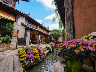 古巷溪边繁花盛开的景致