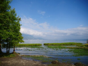 湖畔绿树蓝天美景