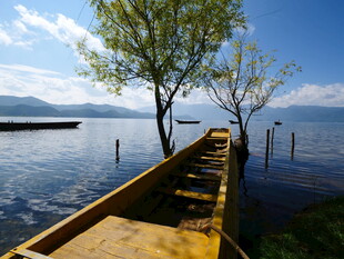 湖畔木栈道与葱郁树木