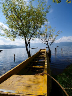 湖畔木舟与树的静谧景致