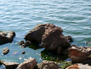 海边礁石 碧波荡漾之景