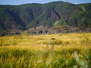 草原山峦间的自然美景