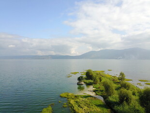 湖畔绿意盎然的美丽风光