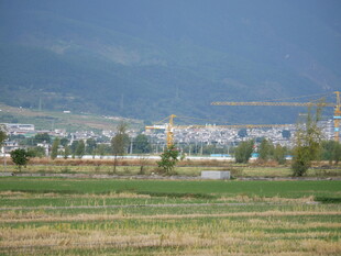 田野旁的建筑施工场景