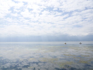 海上云雾中的船只景象