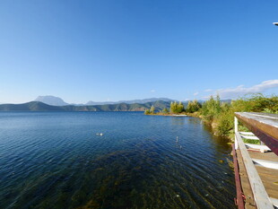 湖畔美景 宁静自然风光
