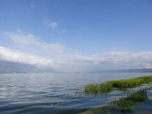 湖畔风光 碧波蓝天映绿植