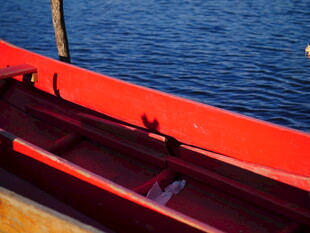 红色小船停靠于蓝色水边