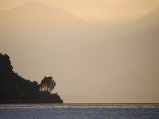 黄昏湖畔 孤树静立