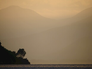 黄昏湖畔孤树朦胧景致