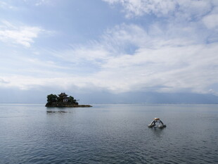 海上孤岛与飞翔海鸟
