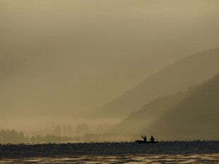 雾中江面的船只景象