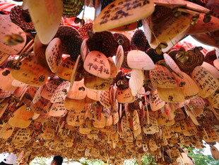 祈福牌悬挂场景