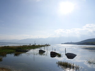 湖畔风光 阳光下的宁静水域